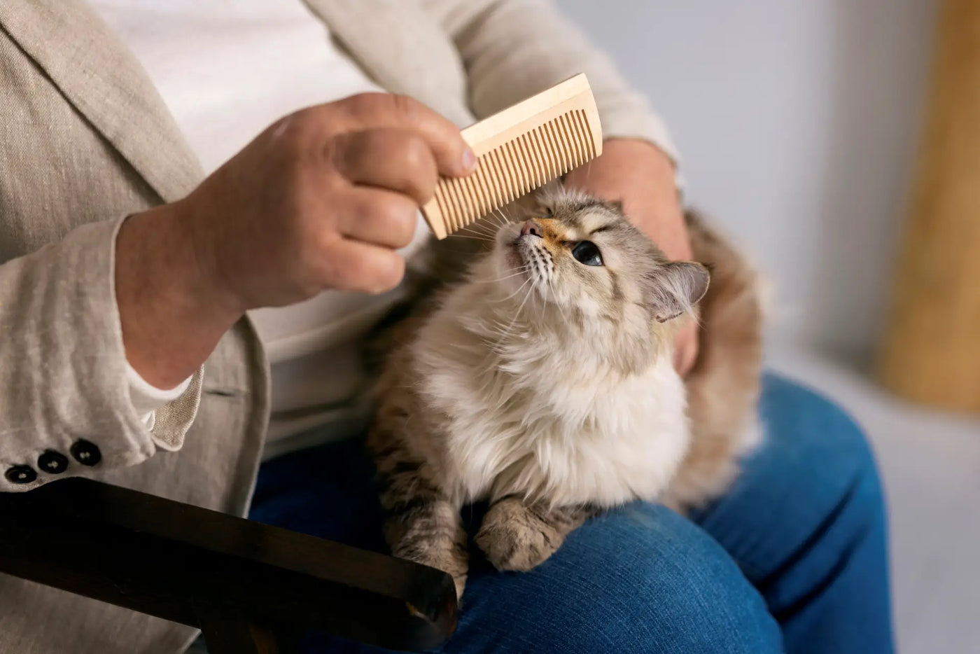 The importance of regular grooming for your pet