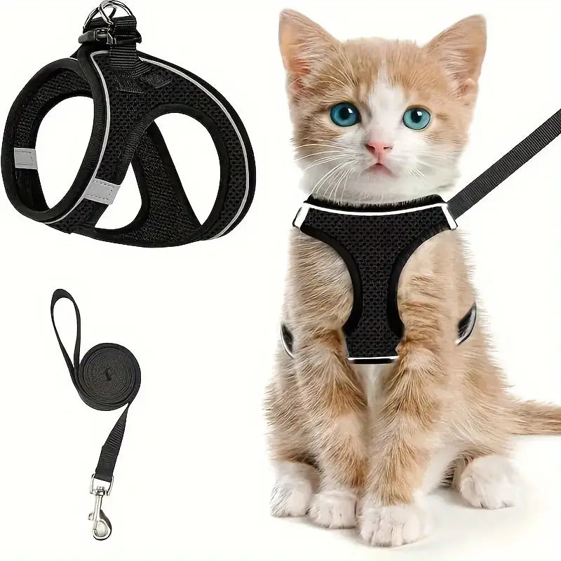 Pet harness and leash set for walking