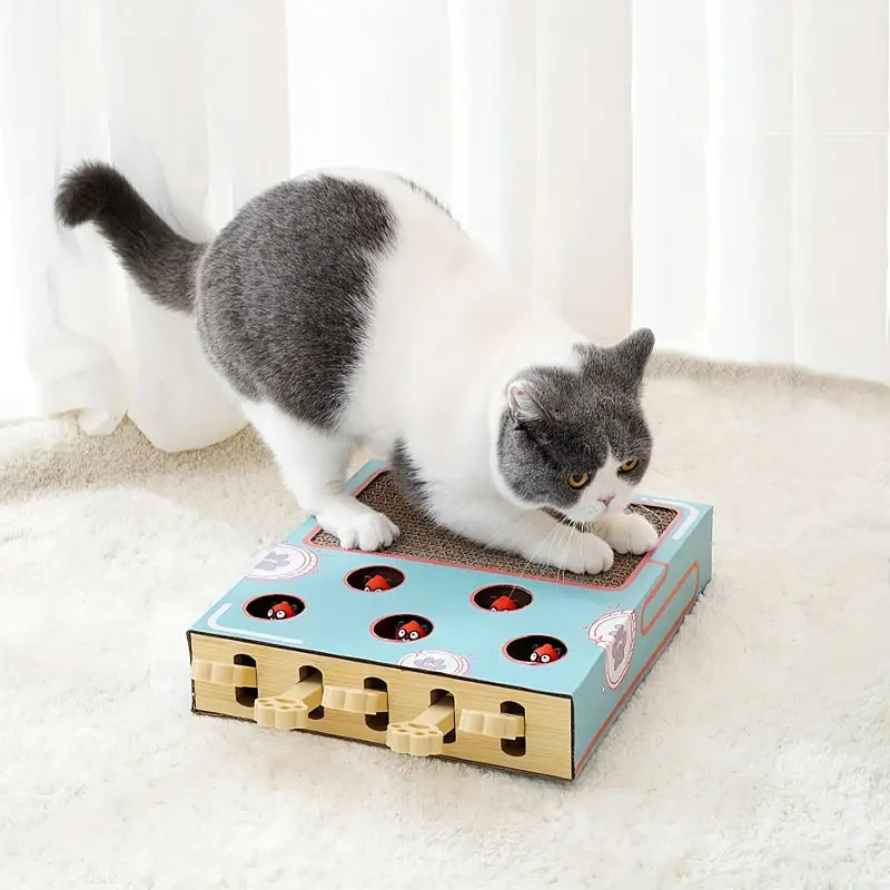 Bop-A-Mole cat scratching board